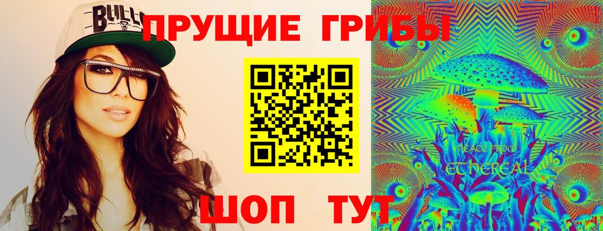 Ачхой-Мартан  Галлюциногенные грибы ЛСД  Вход с VPN 